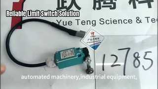 LSBHES Limit Switch Reliable Industrial Automation